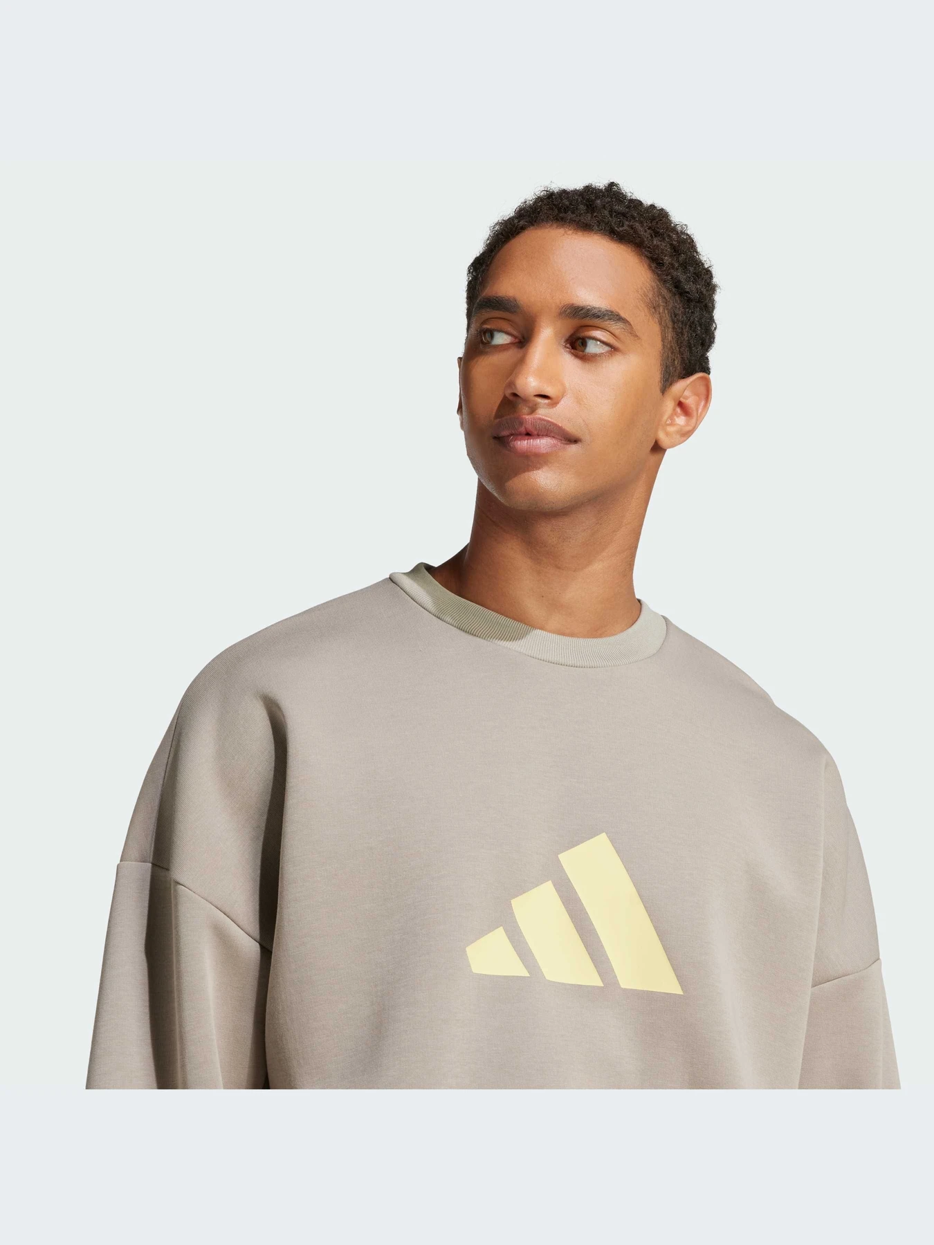 Худи и свитшоты Adidas Icons модель JI8771-KZ Худи и свитшоты Adidas Icons модель JI8771-KZ Фото