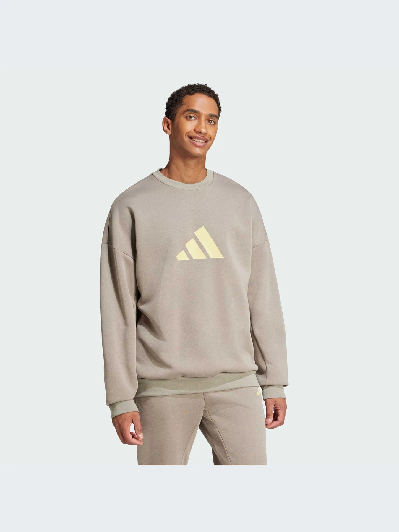 Худи и свитшоты Adidas Icons модель JI8771-KZ Худи и свитшоты Adidas Icons модель JI8771-KZ Фото