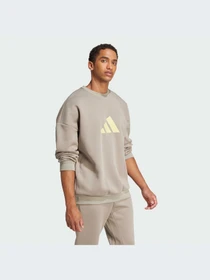 Худи и свитшоты Adidas Icons модель JI8771-KZ Фото