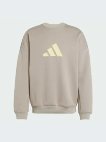 Худи и свитшоты Adidas Icons модель JI8771-KZ Фото