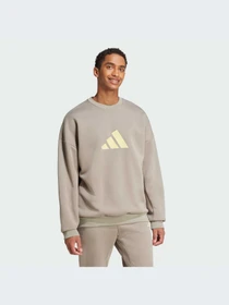 Худи и свитшоты Adidas Icons модель JI8771-KZ Фото