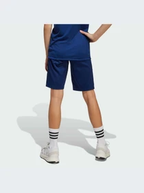 Шорты Adidas Tiro модель JC8039-KZ Фото