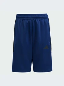 Шорты Adidas Tiro модель JC8039-KZ Фото