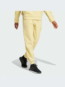 Брюки Adidas ZNE модель JJ4770-KZ Фото