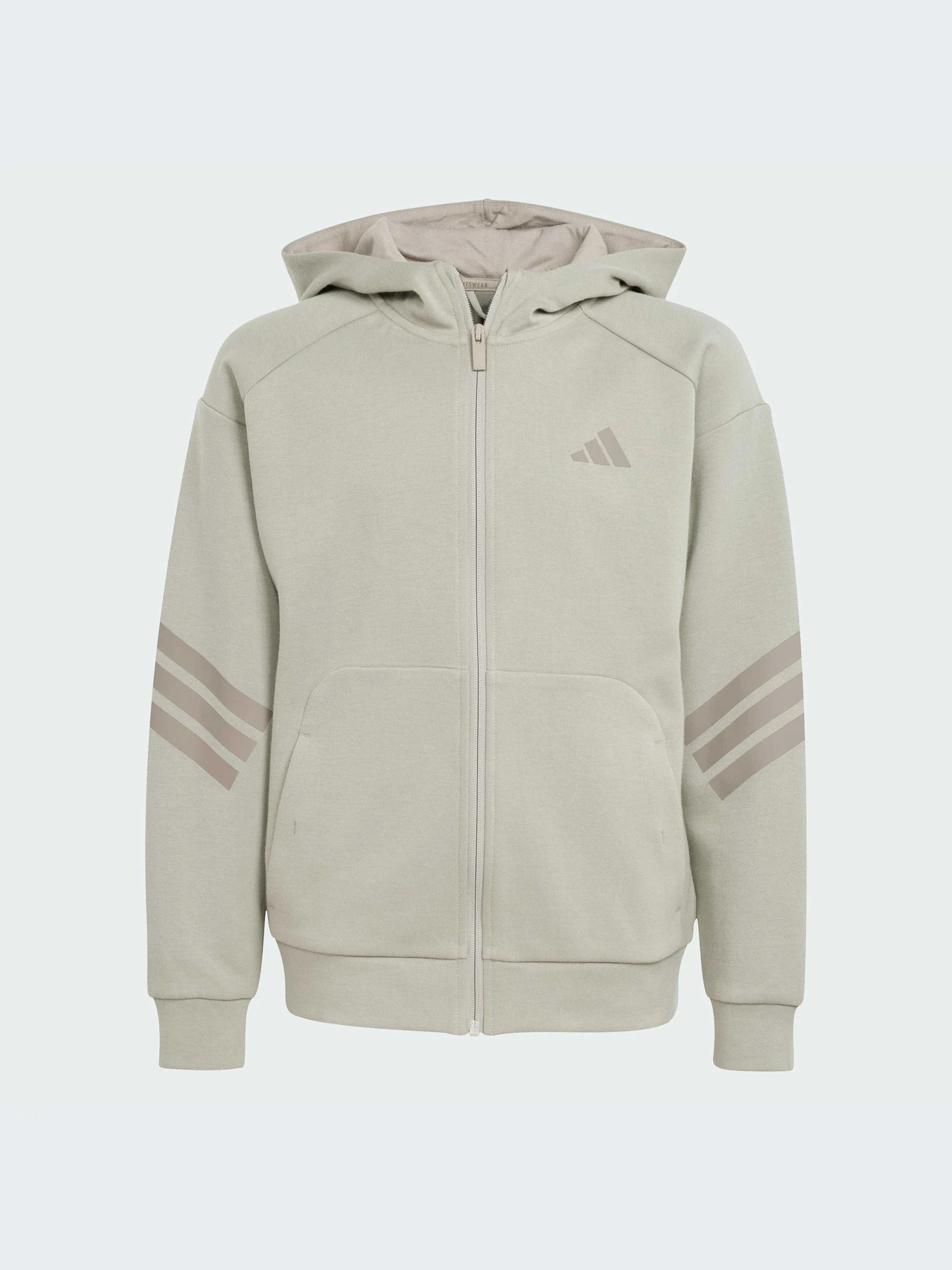 Худи и свитшоты Adidas модель JJ4807-KZ Худи и свитшоты Adidas модель JJ4807-KZ Фото