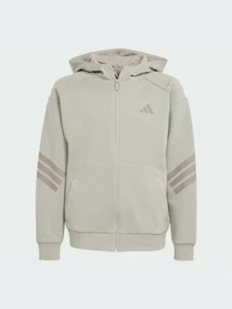 Худи и свитшоты Adidas модель JJ4807-KZ Фото