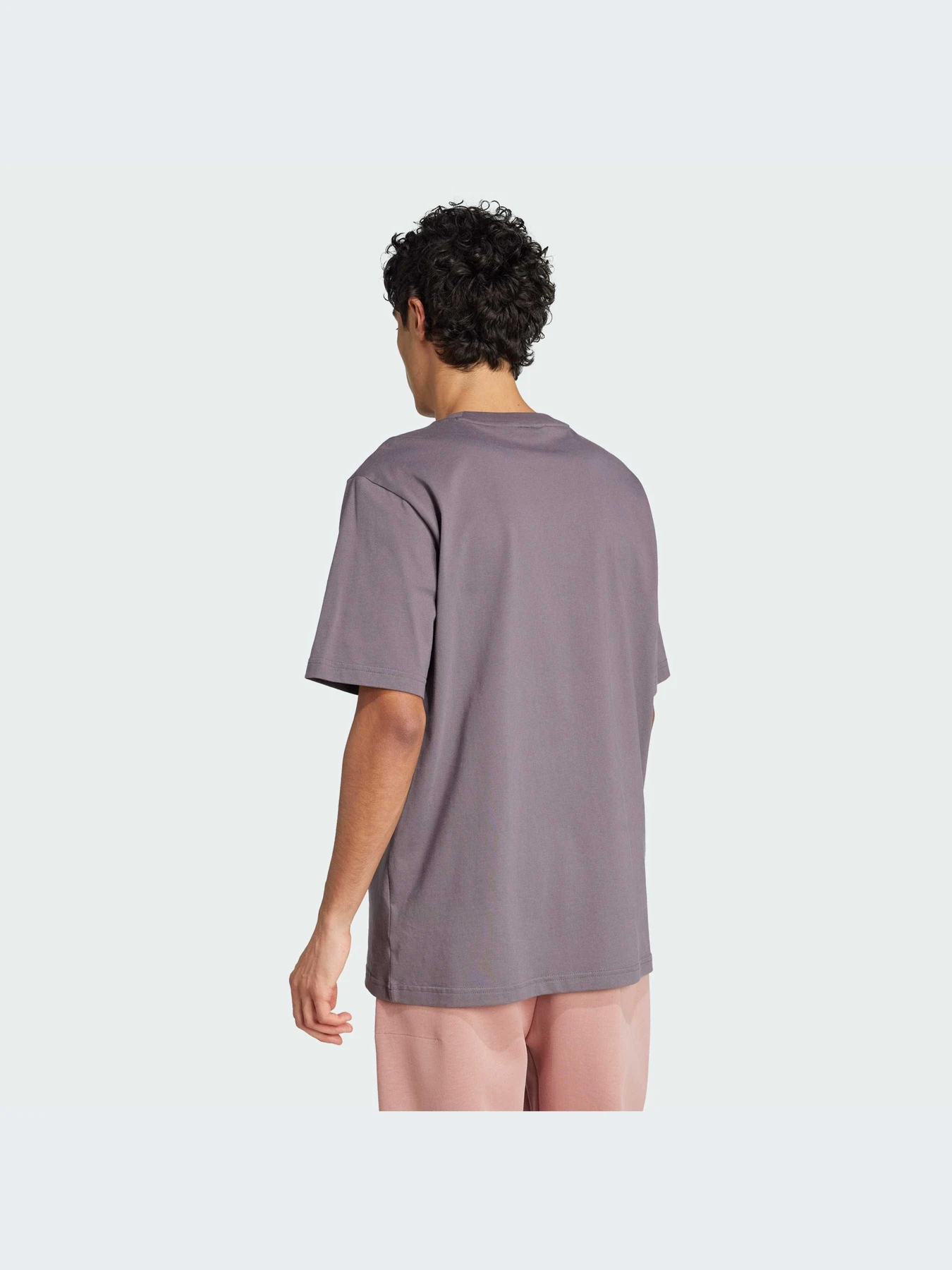 Футболки и поло Adidas Icons модель JD4921-KZ Футболки и поло Adidas Icons модель JD4921-KZ Фото
