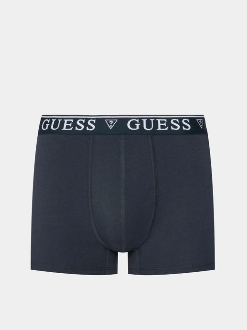 Нижнее белье GUESS модель U4YF00-KCD31-A73L Фото