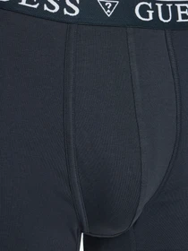 Нижнее белье GUESS модель U4YF00-KCD31-A73L Фото