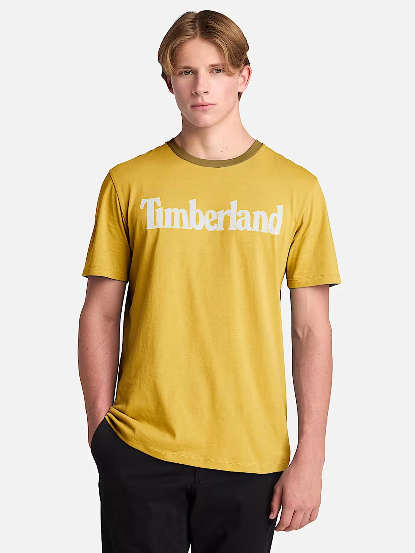 Футболки и поло Timberland модель TB0A2BRNEOB Футболки и поло Timberland модель TB0A2BRNEOB Фото