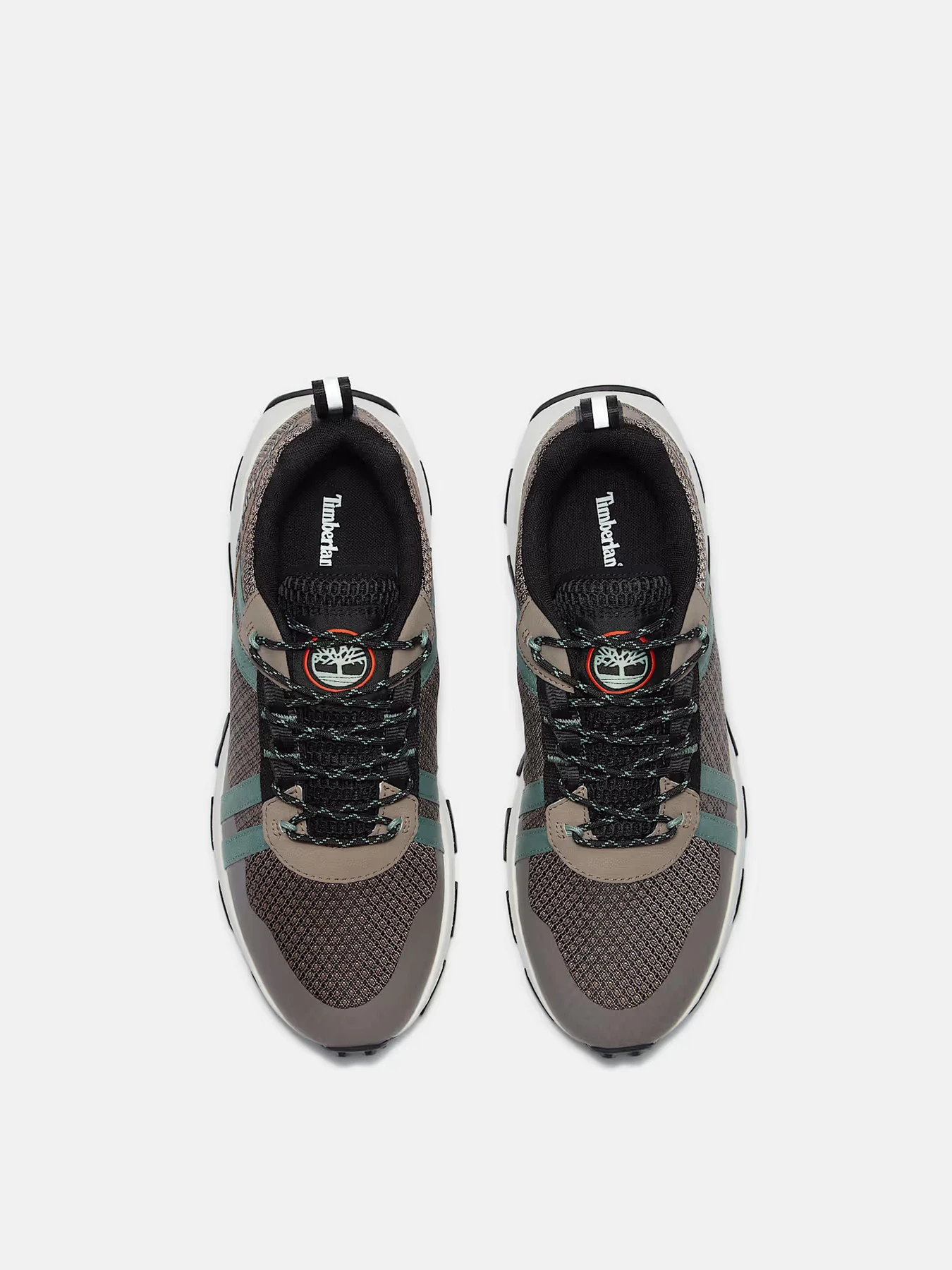 Кроссовки Timberland модель TB0A6DTHEVL Кроссовки Timberland модель TB0A6DTHEVL Фото