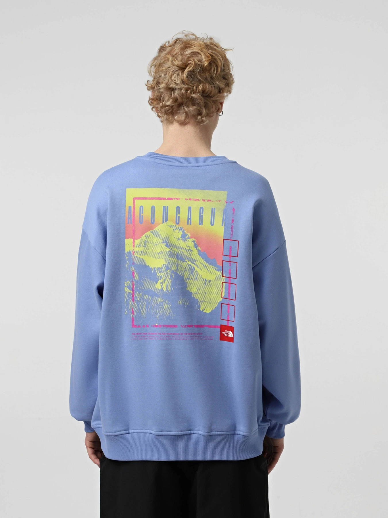 Худи и свитшоты The North Face модель NF0A8C1S0YI1 Худи и свитшоты The North Face модель NF0A8C1S0YI1 Фото