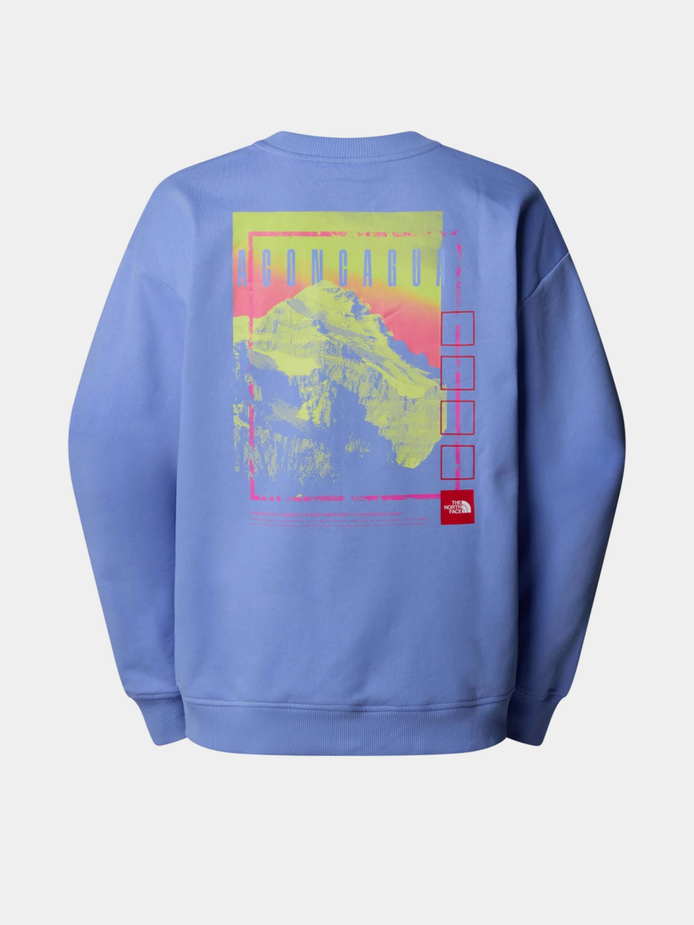 Худи и свитшоты The North Face модель NF0A8C1S0YI1 Худи и свитшоты The North Face модель NF0A8C1S0YI1 Фото