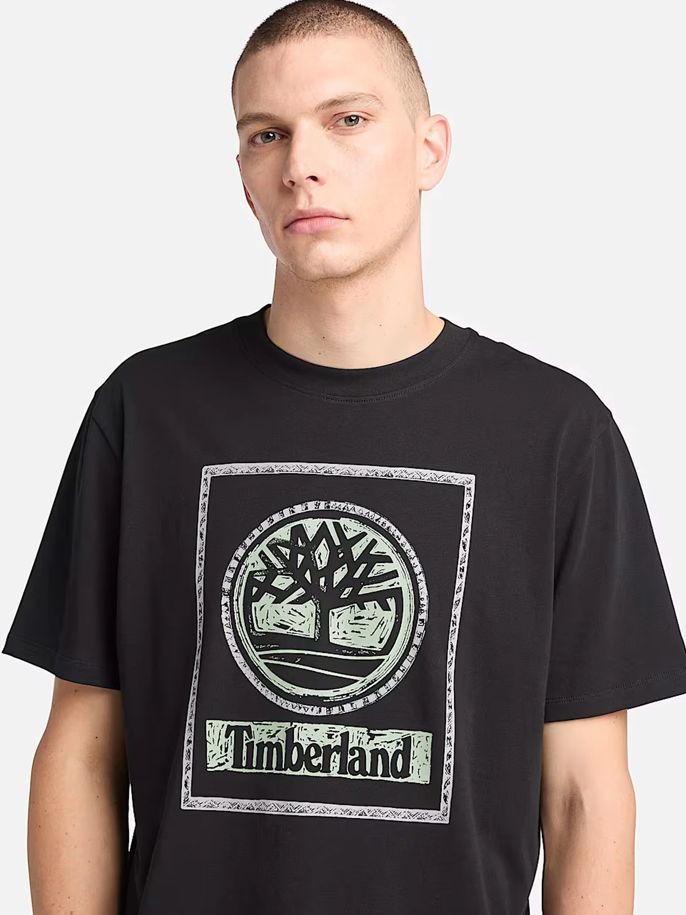 Футболки и поло Timberland модель TB0A6DHD001 Футболки и поло Timberland модель TB0A6DHD001 Фото