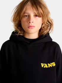 Худи и свитшоты Vans модель VN000NWTBLK1 Фото