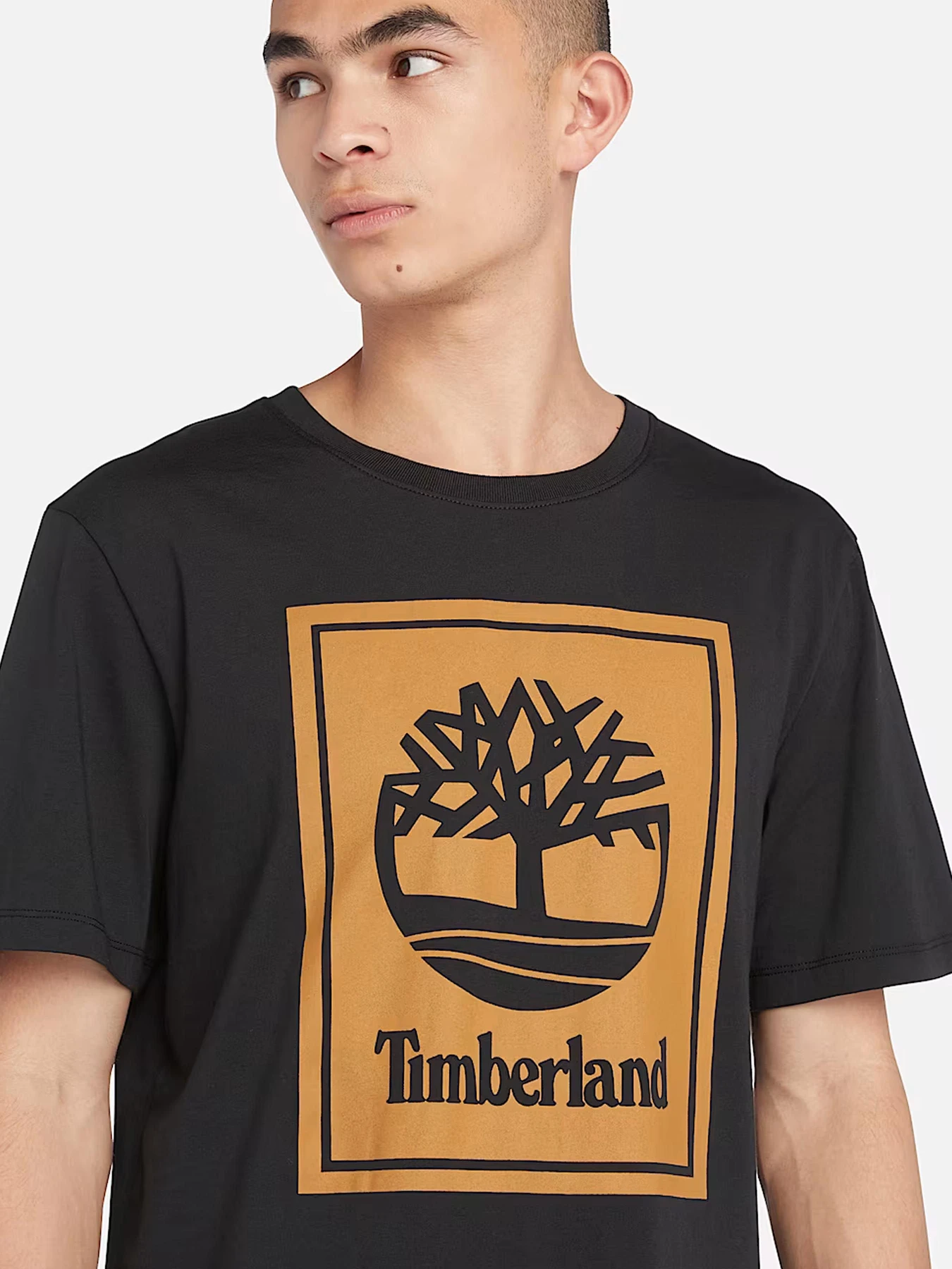 Футболки и поло Timberland модель TB0A5WQQP56 Фото