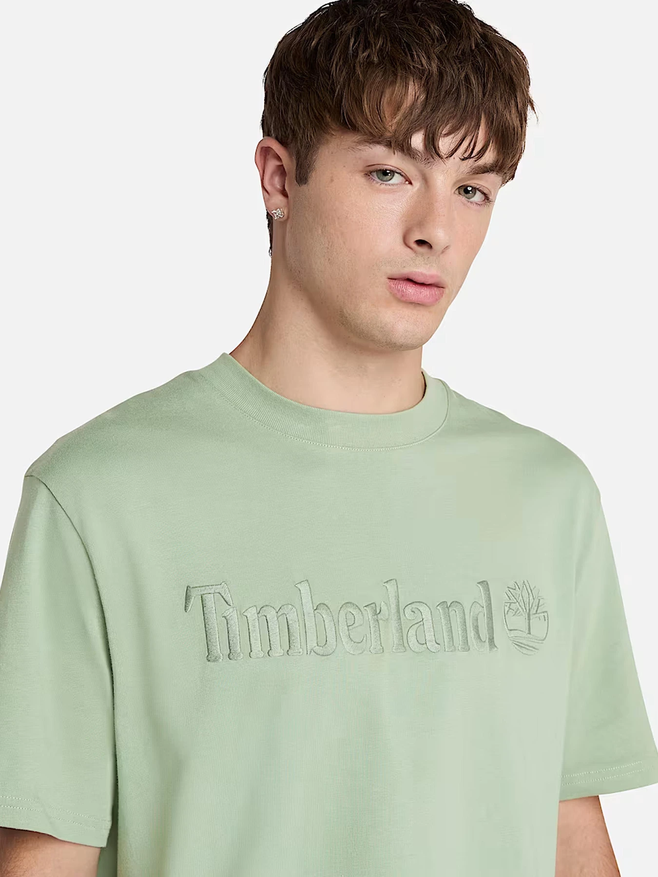 Футболки и поло Timberland модель TB0A6VPEEC6 Футболки и поло Timberland модель TB0A6VPEEC6 Фото