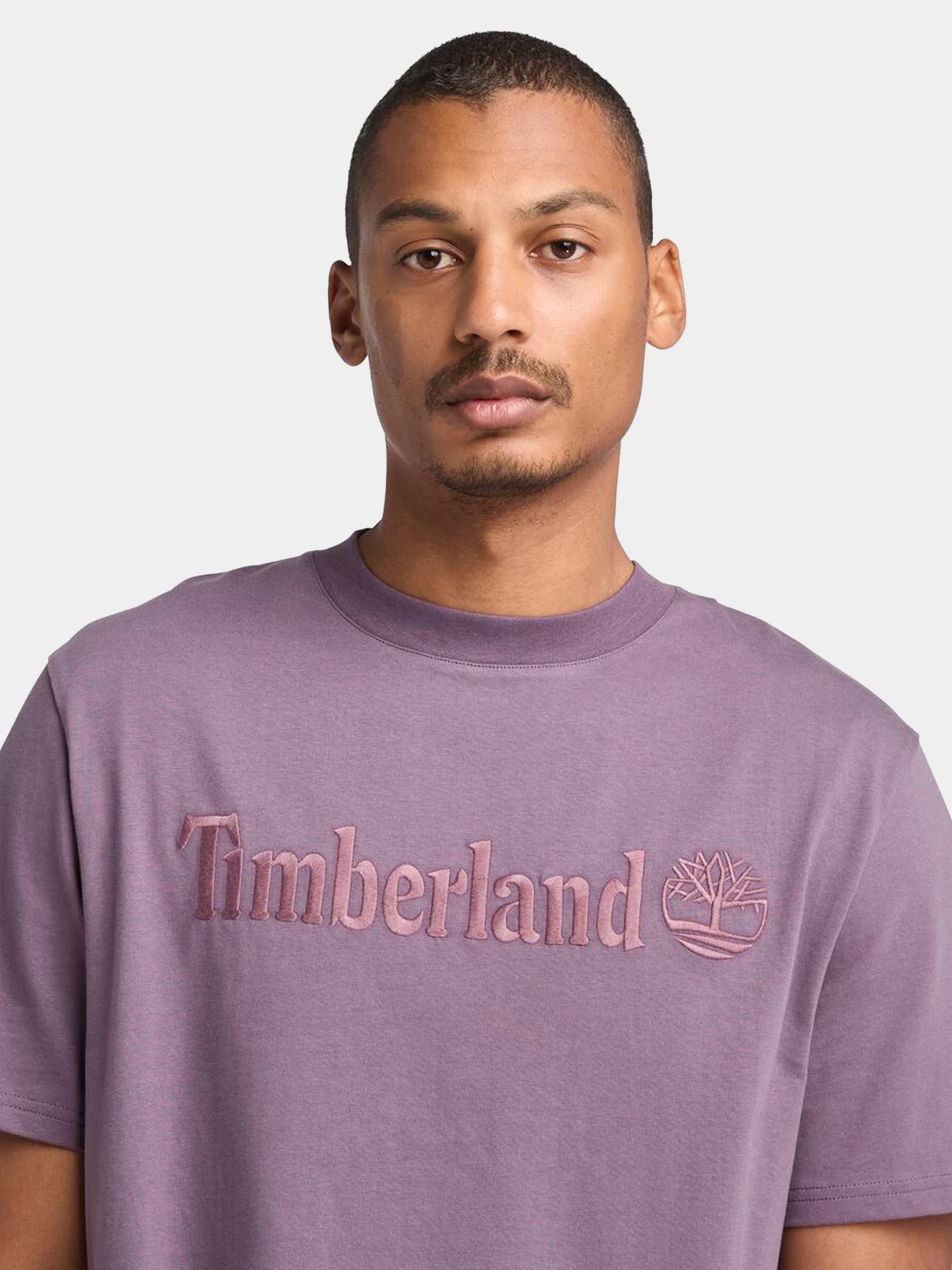 Футболки и поло Timberland модель TB0A6VPEENX Футболки и поло Timberland модель TB0A6VPEENX Фото