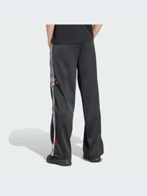 Брюки Adidas Graphics модель IT5377-KZ Фото