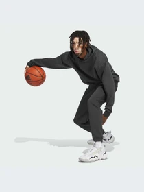 Худи и свитшоты Adidas модель IL2313-KZ Фото