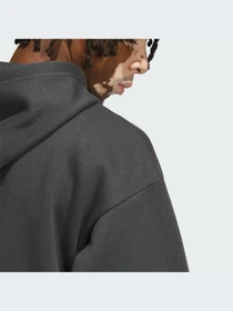 Худи и свитшоты Adidas модель IL2313-KZ Фото