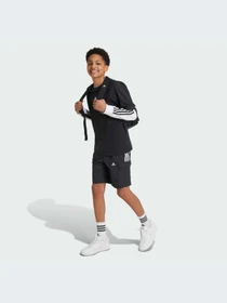 Шорты Adidas модель IV7050-KZ Фото