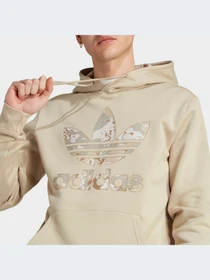 Худи и свитшоты Adidas Graphics модель IU4682-KZ Фото