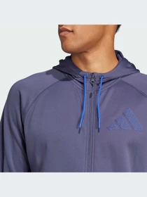 Худи и свитшоты Adidas модель IX9035-KZ Фото
