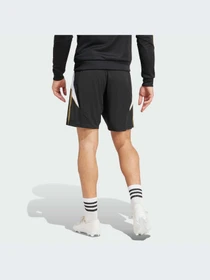 Шорты Adidas модель IZ3000-KZ Фото