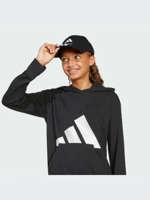 Худи и свитшоты Adidas модель JC7505-KZ Фото
