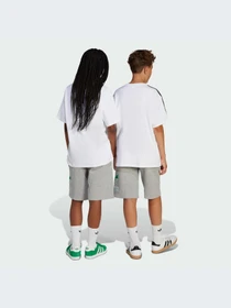 Шорты Adidas Adicolor модель JC9115-KZ Фото
