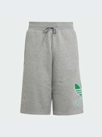 Шорты Adidas Adicolor модель JC9115-KZ Фото