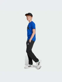 Брюки Adidas модель JC9765-KZ Фото