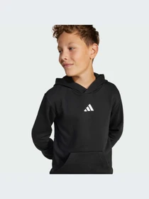 Худи и свитшоты Adidas модель JC9772-KZ Фото
