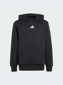 Худи и свитшоты Adidas модель JC9772-KZ Фото