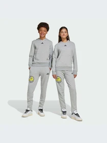 Брюки Adidas модель JD3287-KZ Фото