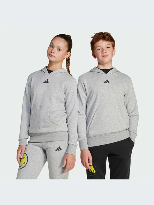 Худи и свитшоты Adidas модель JD3288-KZ Фото