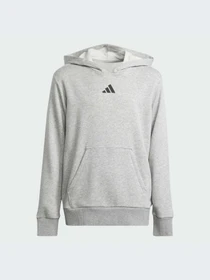 Худи и свитшоты Adidas модель JD3288-KZ Фото
