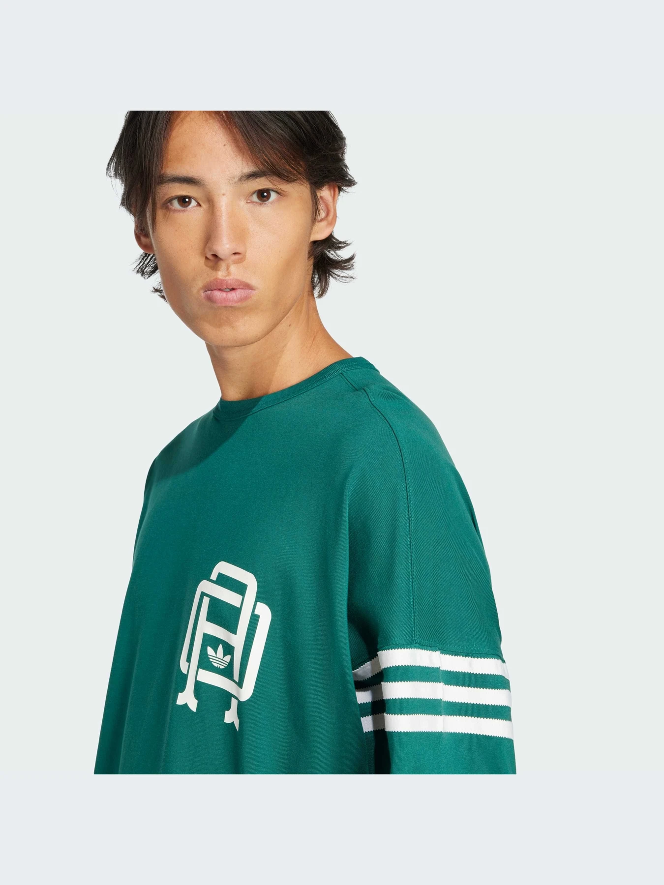 Худи и свитшоты Adidas Graphics модель JD3308-KZ Худи и свитшоты Adidas Graphics модель JD3308-KZ Фото