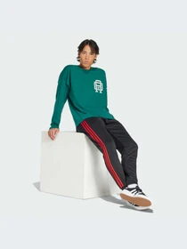 Худи и свитшоты Adidas Graphics модель JD3308-KZ Фото