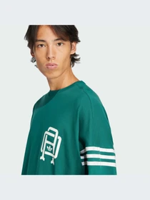 Худи и свитшоты Adidas Graphics модель JD3308-KZ Фото