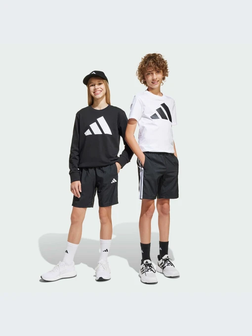 Шорты Adidas модель JD8189-KZ Фото