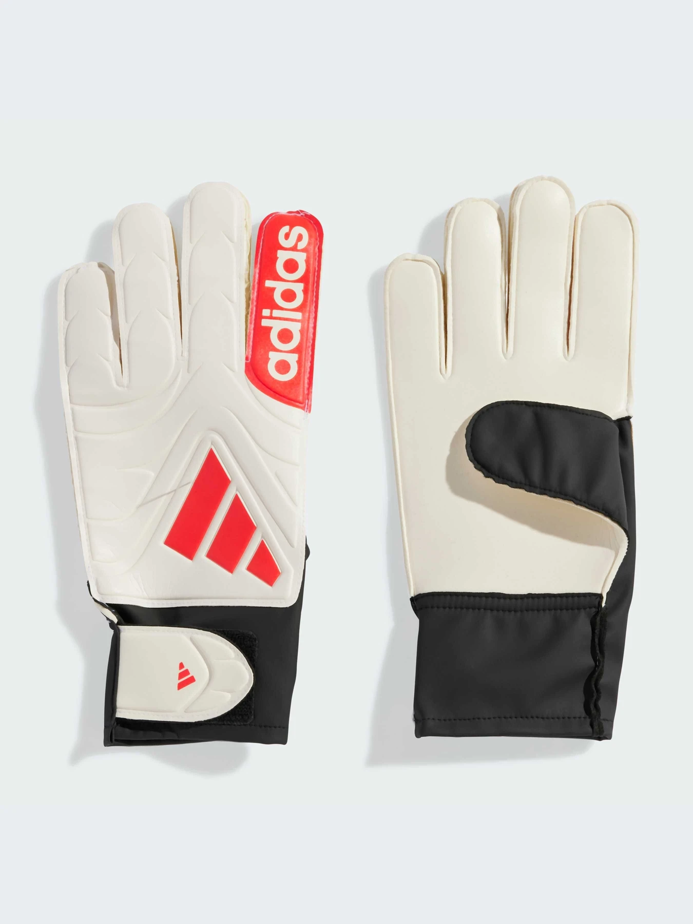 Перчатки для спорта Adidas модель JH3789-KZ Перчатки для спорта Adidas модель JH3789-KZ Фото