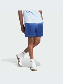 Шорты Adidas модель JI6359-KZ Фото