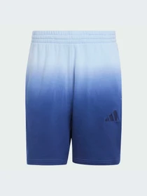Шорты Adidas модель JI6359-KZ Фото