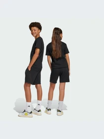 Шорты Adidas модель JJ3074-KZ Фото