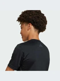 Шорты Adidas модель JJ3074-KZ Фото