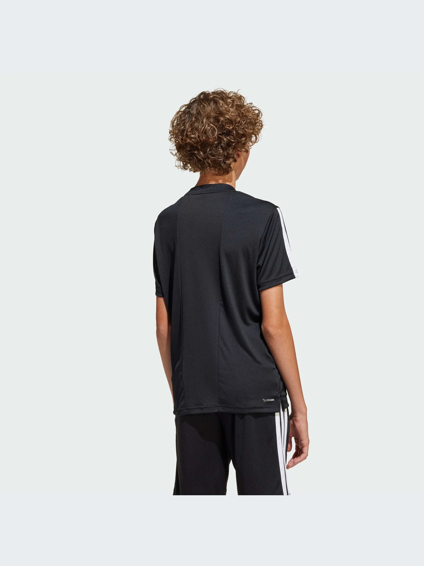 Футболки и поло Adidas Clima модель JJ1032-KZ Футболки и поло Adidas Clima модель JJ1032-KZ Фото