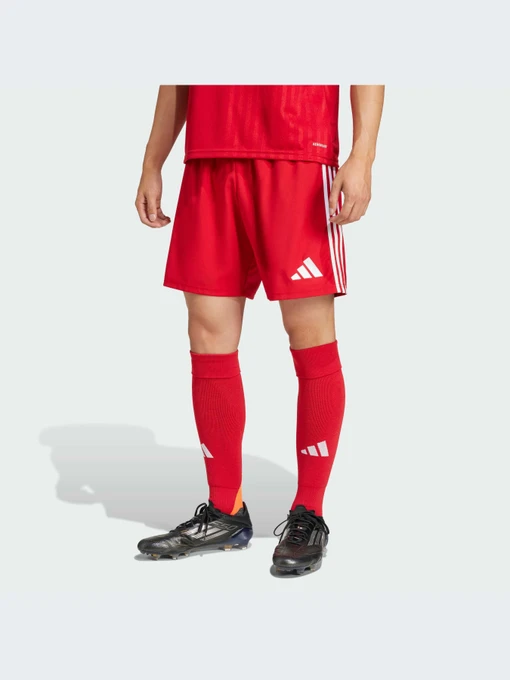 Шорты Adidas модель JN7157-KZ Фото
