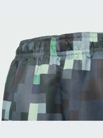 Брюки Adidas модель JZ9935-KZ Фото